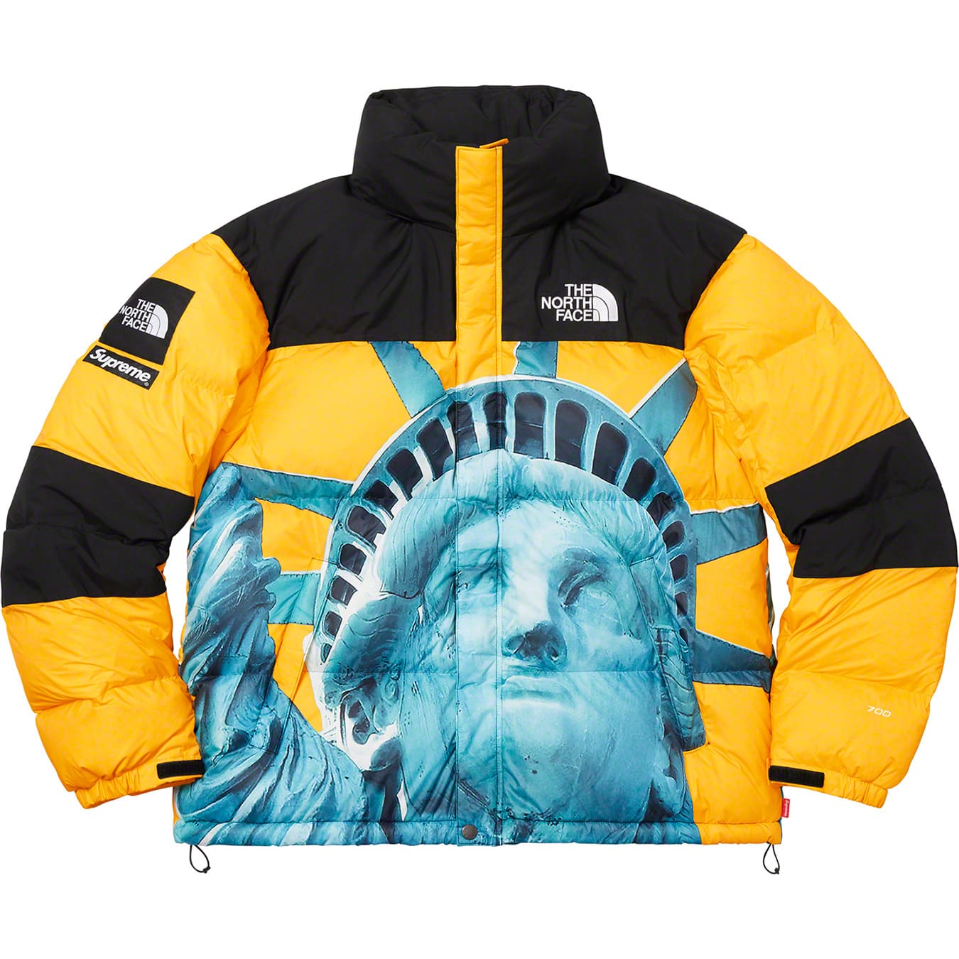 Supreme®/The North Face® Statue of Liberty Baltoro Jacket