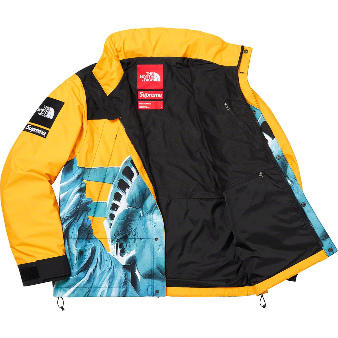 Supreme®/The North Face® Statue of Liberty Mountain Jacket