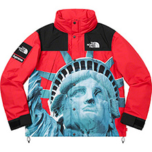 Supreme®/The North Face® Statue of Liberty Mountain Jacket