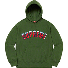 Icy Arc Hooded Sweatshirt | Supreme 20fw
