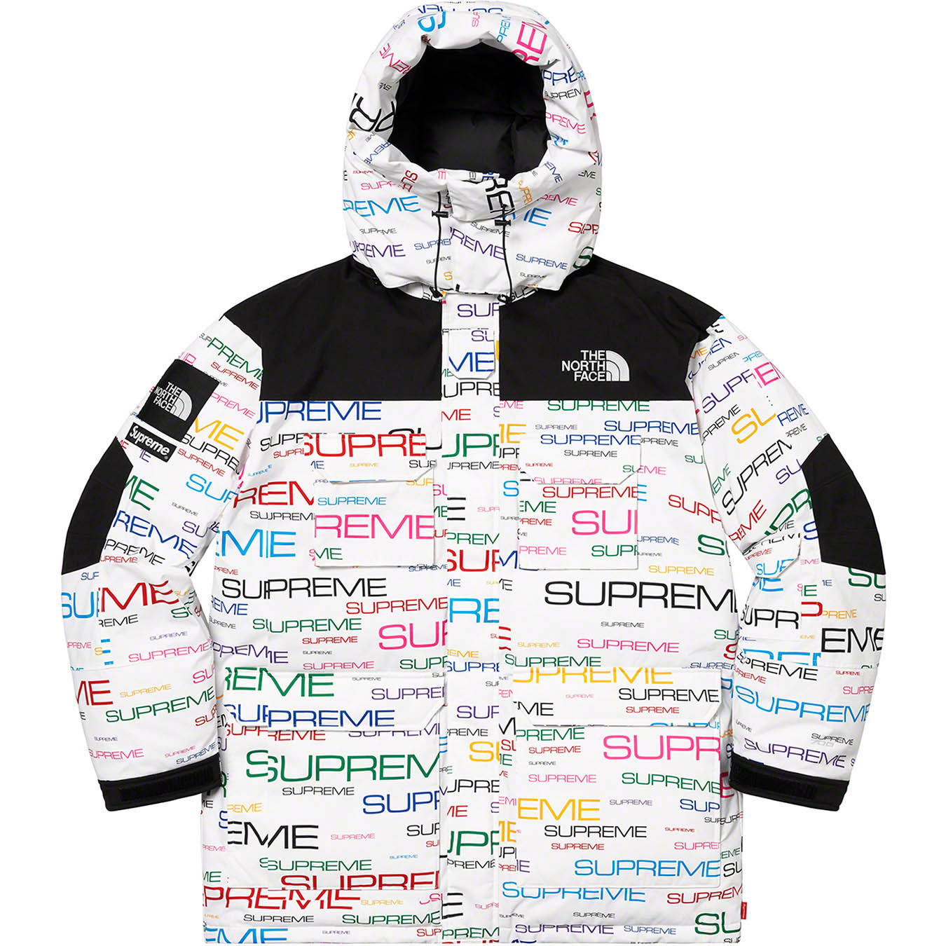 Supreme / The North Face 700-Fill Down M