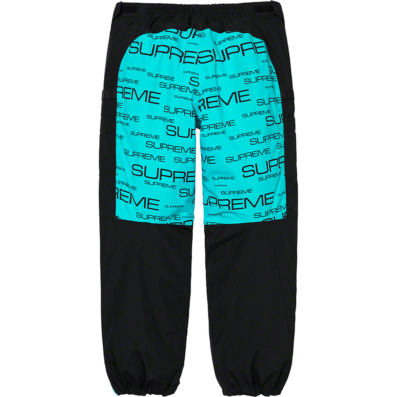 Supreme®/The North Face® Steep Tech Pant