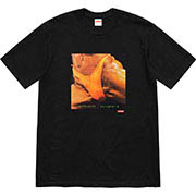 Supreme/Butthole Surfers Rembrandt Pussyhorse Tee