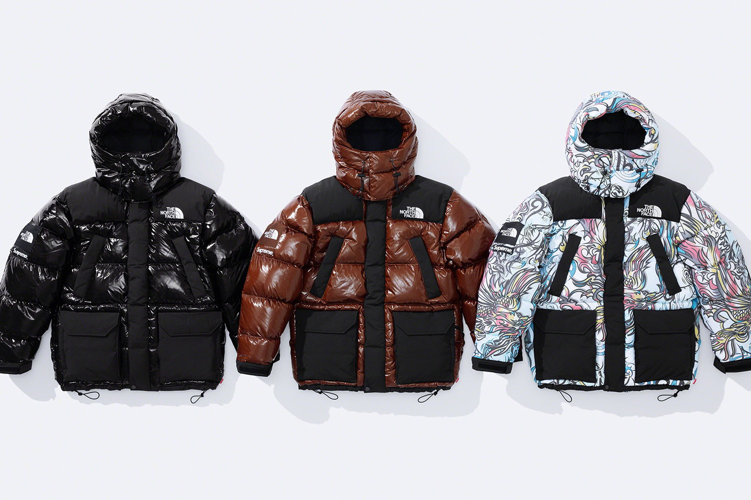 22fw Supreme The North Face 700-FillDown