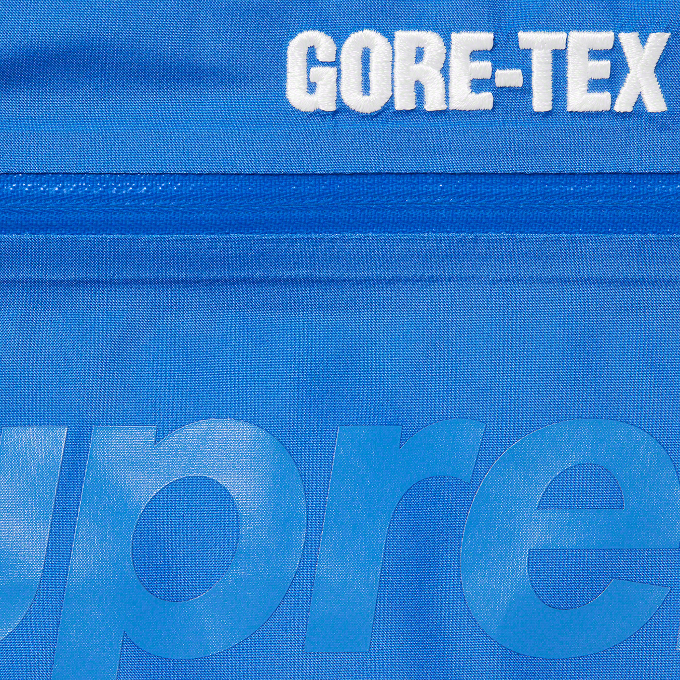 Supreme GORE-TEX 700-Fill Down Parka