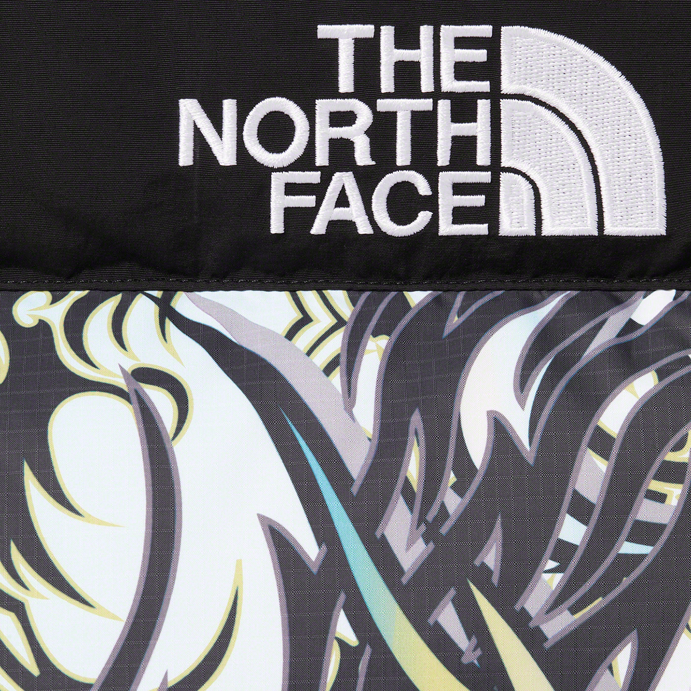 Supreme®/The North Face® 700-Fill Down Parka