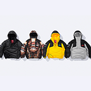 Supreme®/The North Face® 800-Fill Half Zip Hooded Pullover ...