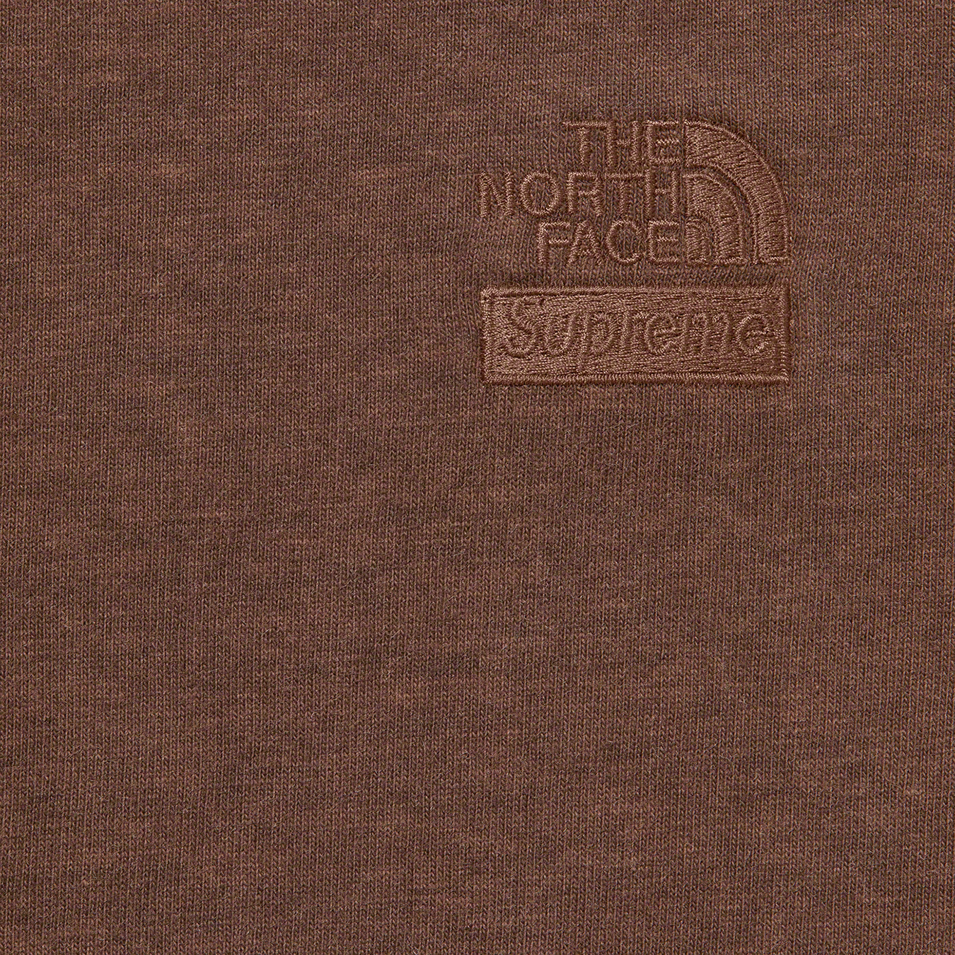 Supreme®/The North Face® Pigment Printed L/S Top Supreme 22fw