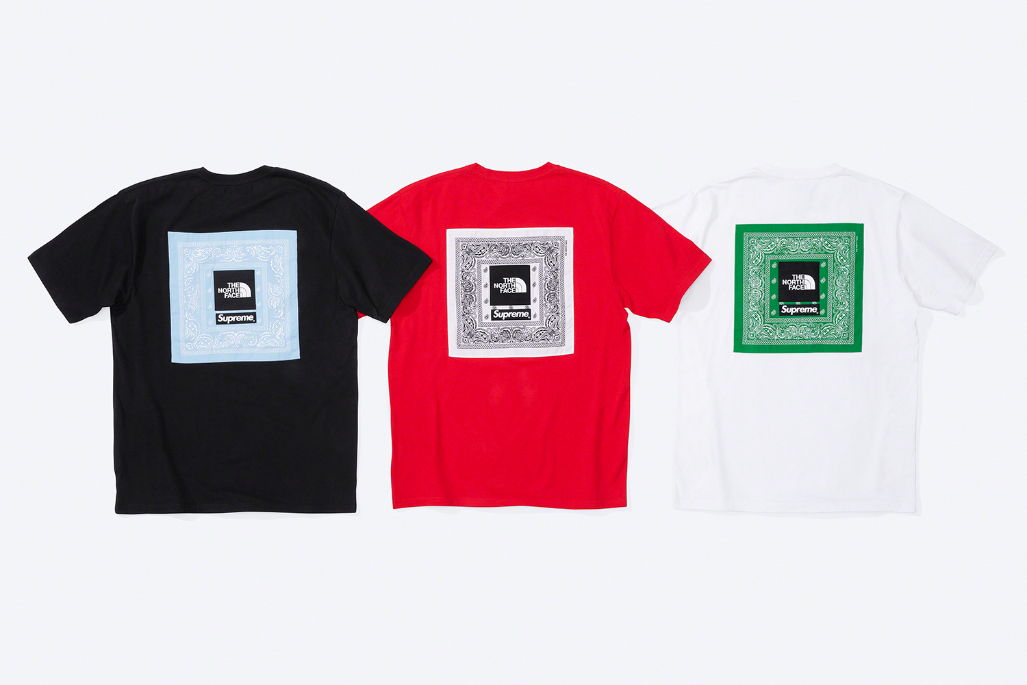 Supreme The North Face  Bandana Tee