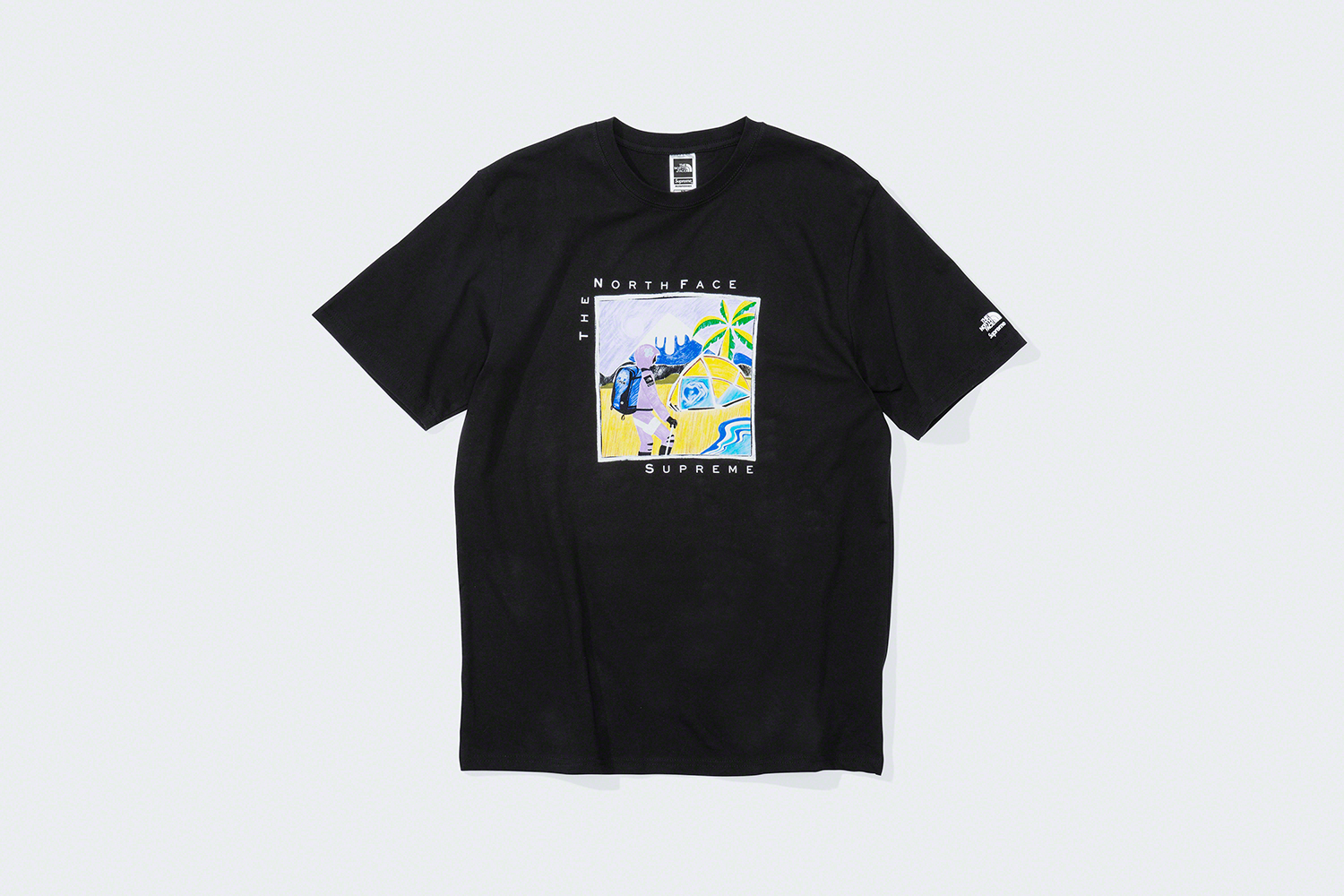 Tシャツ/カットソー(半袖/袖なし)supreme the north face Sketch tee black