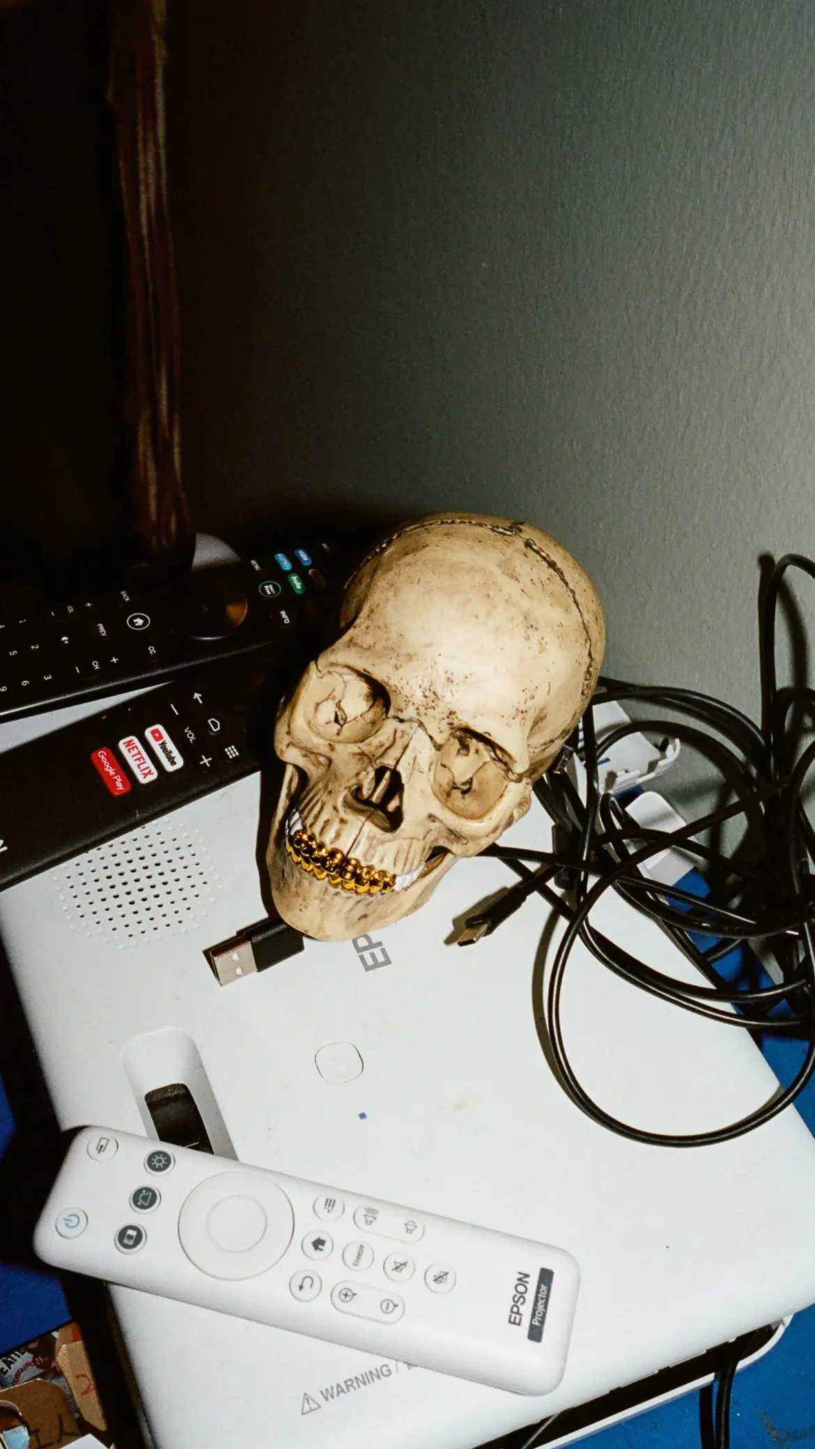 4D Model Human Skull | Supreme 23fw