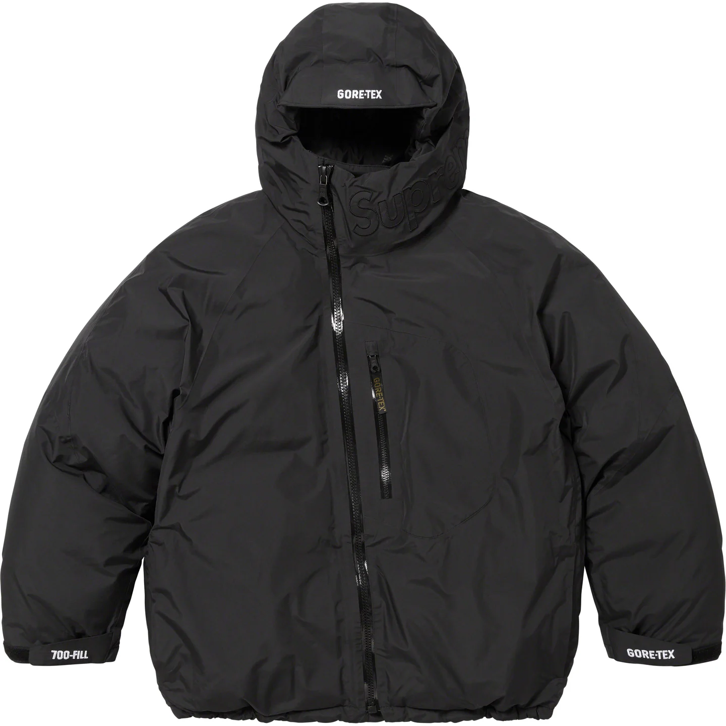 Supreme GORE-TEX 700-Fill Down Parka