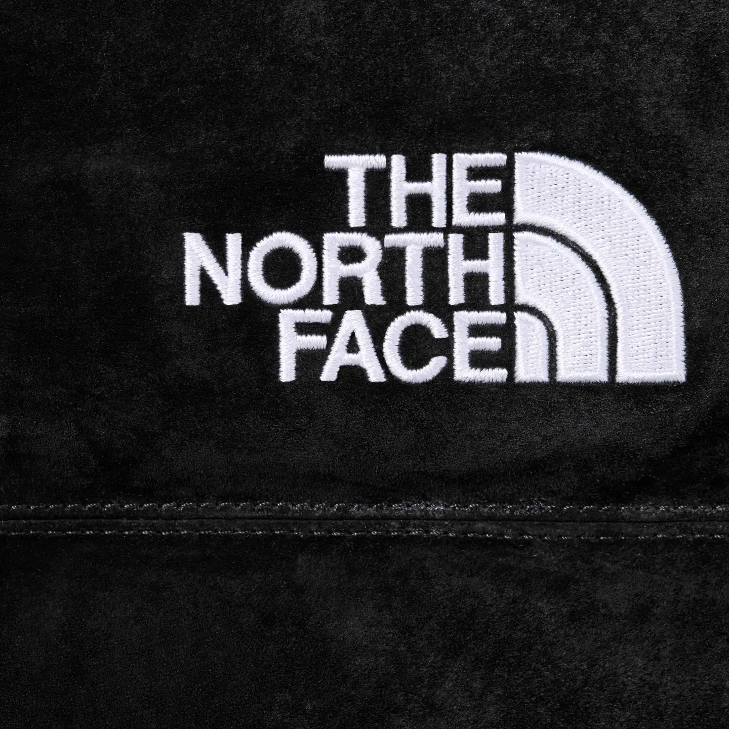Supreme®/The North Face® Suede Nuptse Jacket