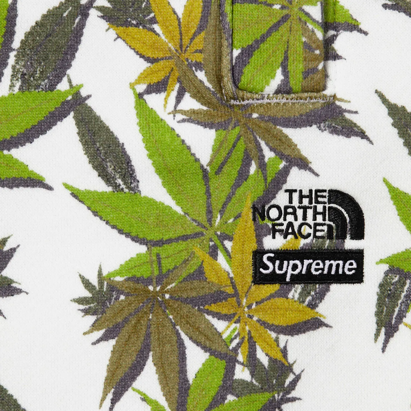 Supreme®/The North Face® Leaf Sweatpant
