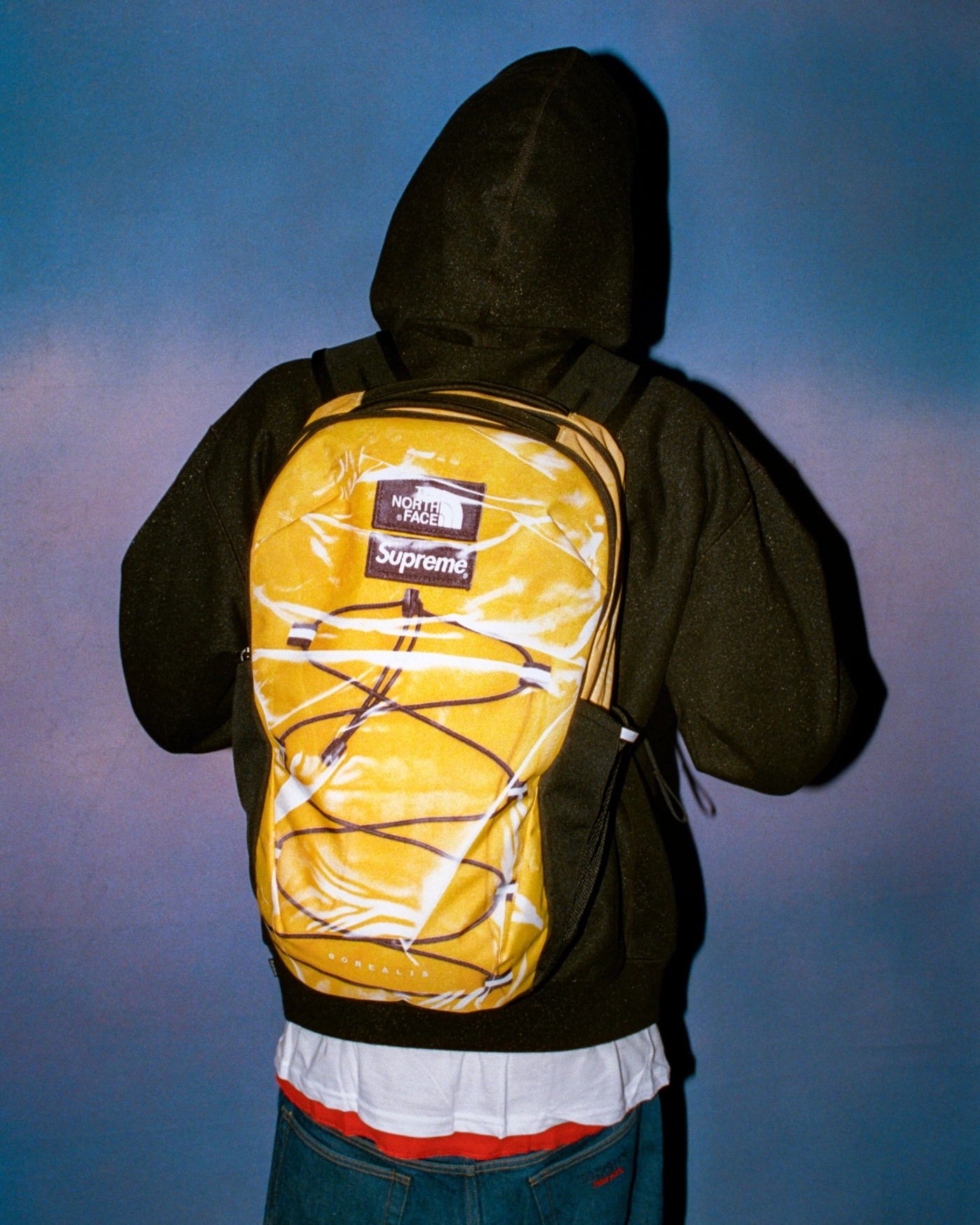 Supreme®/The North Face® Trompe L'oeil Printed Borealis Backpack | Supreme  23ss