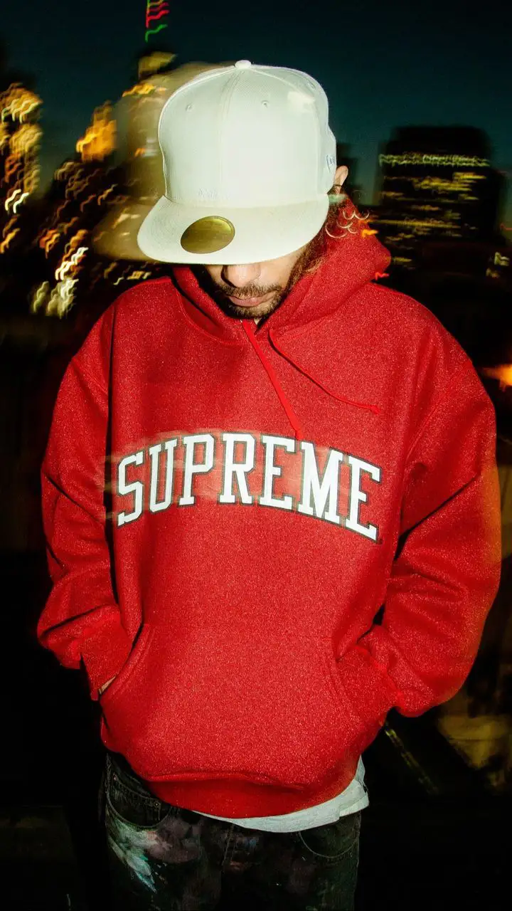 Glitter Arc Hooded Sweatshirt | Supreme 23ss