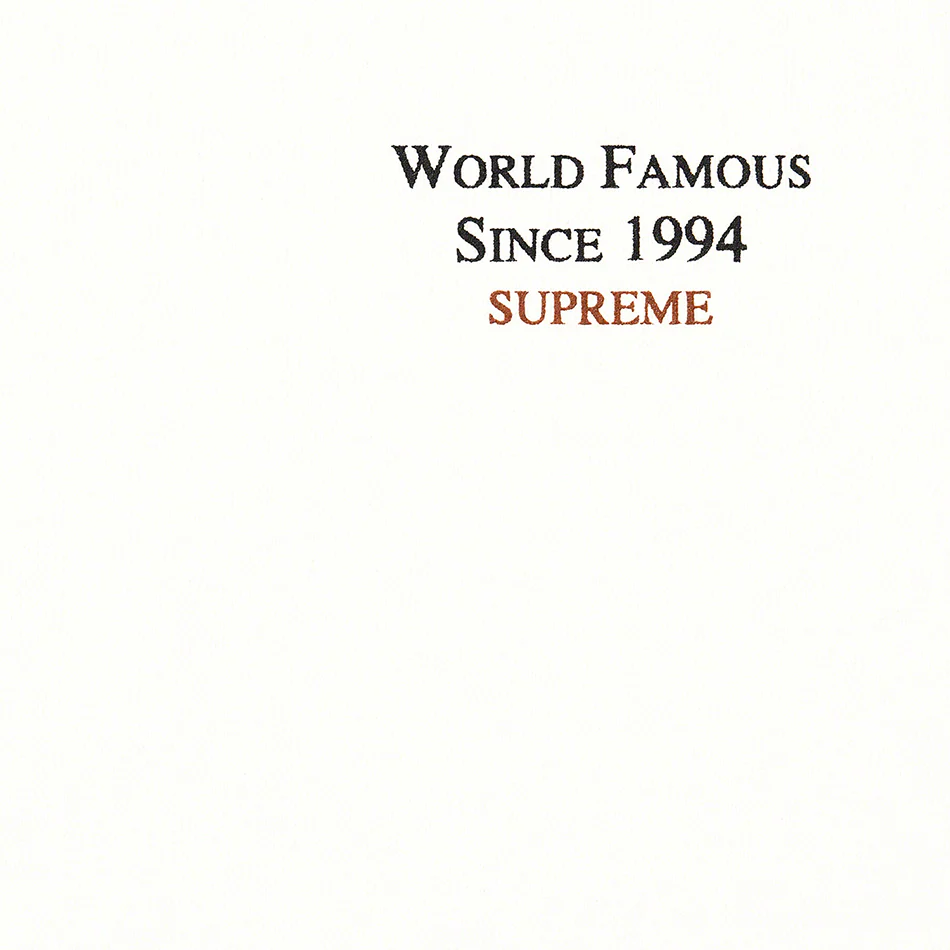 Supreme World Famous Micro Hooded Sweatshirt
