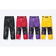 Supreme®/The North Face® Mountain Pant