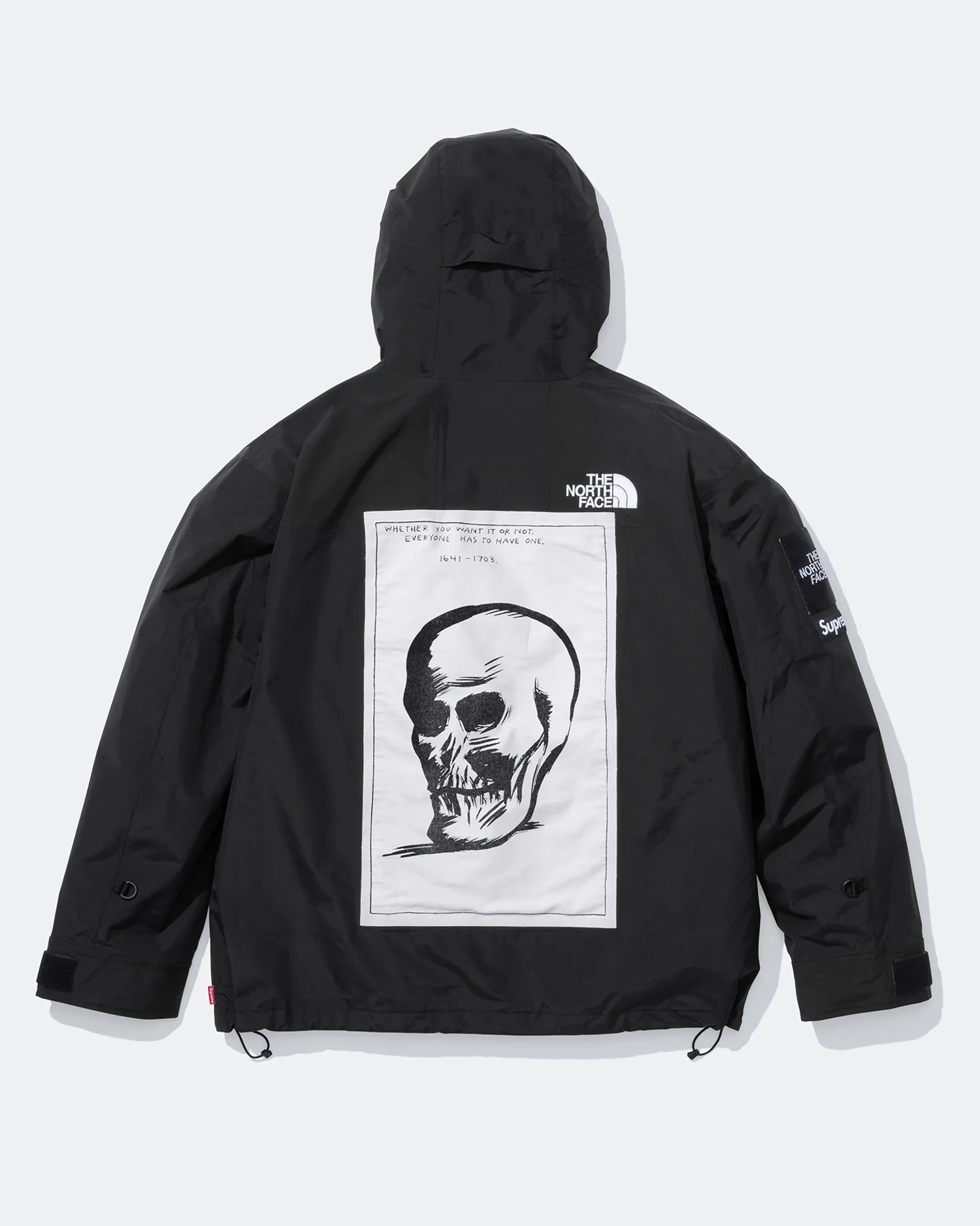 Supreme®/The North Face® Mountain Jacket