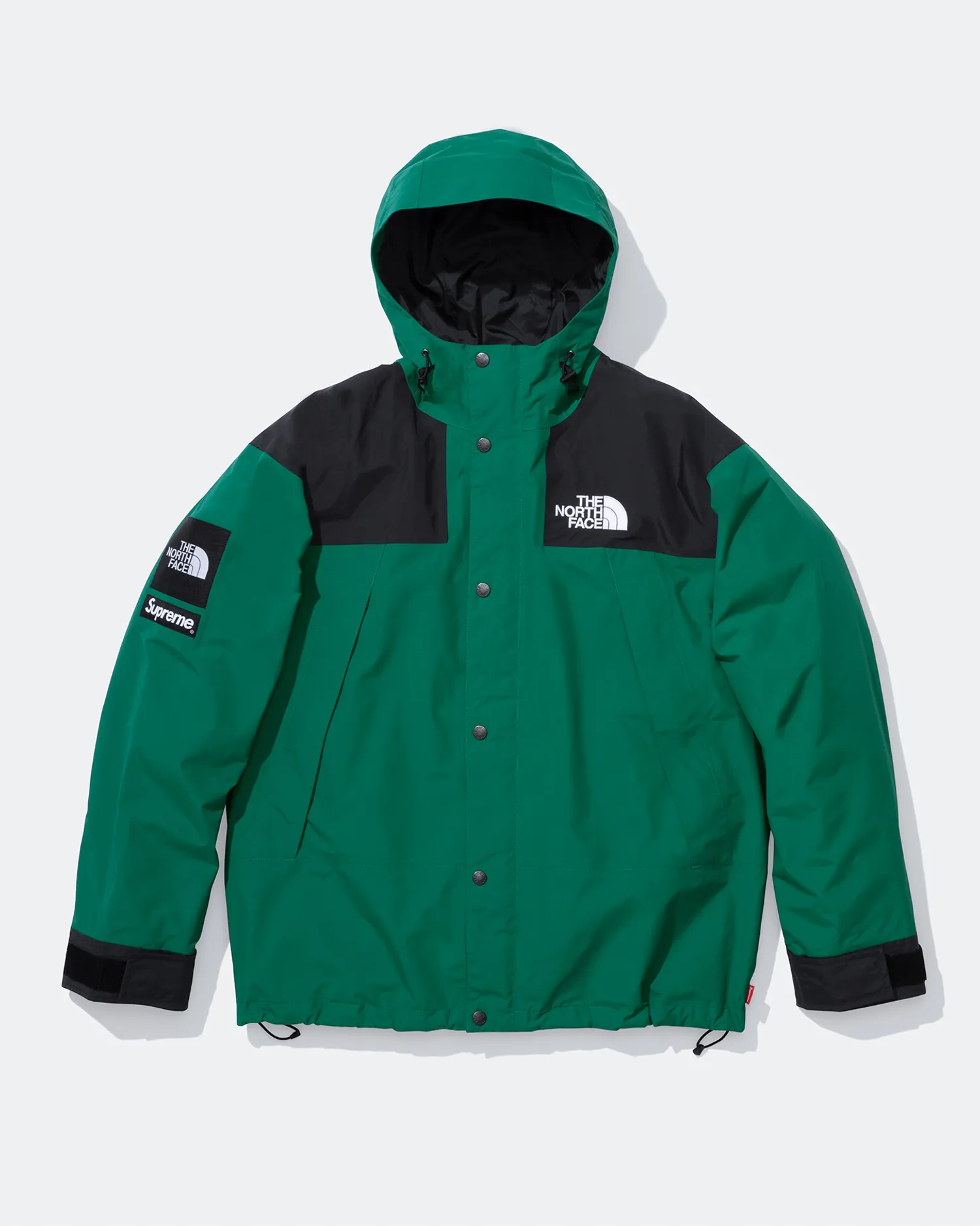 Supreme®/The North Face® Mountain Jacket