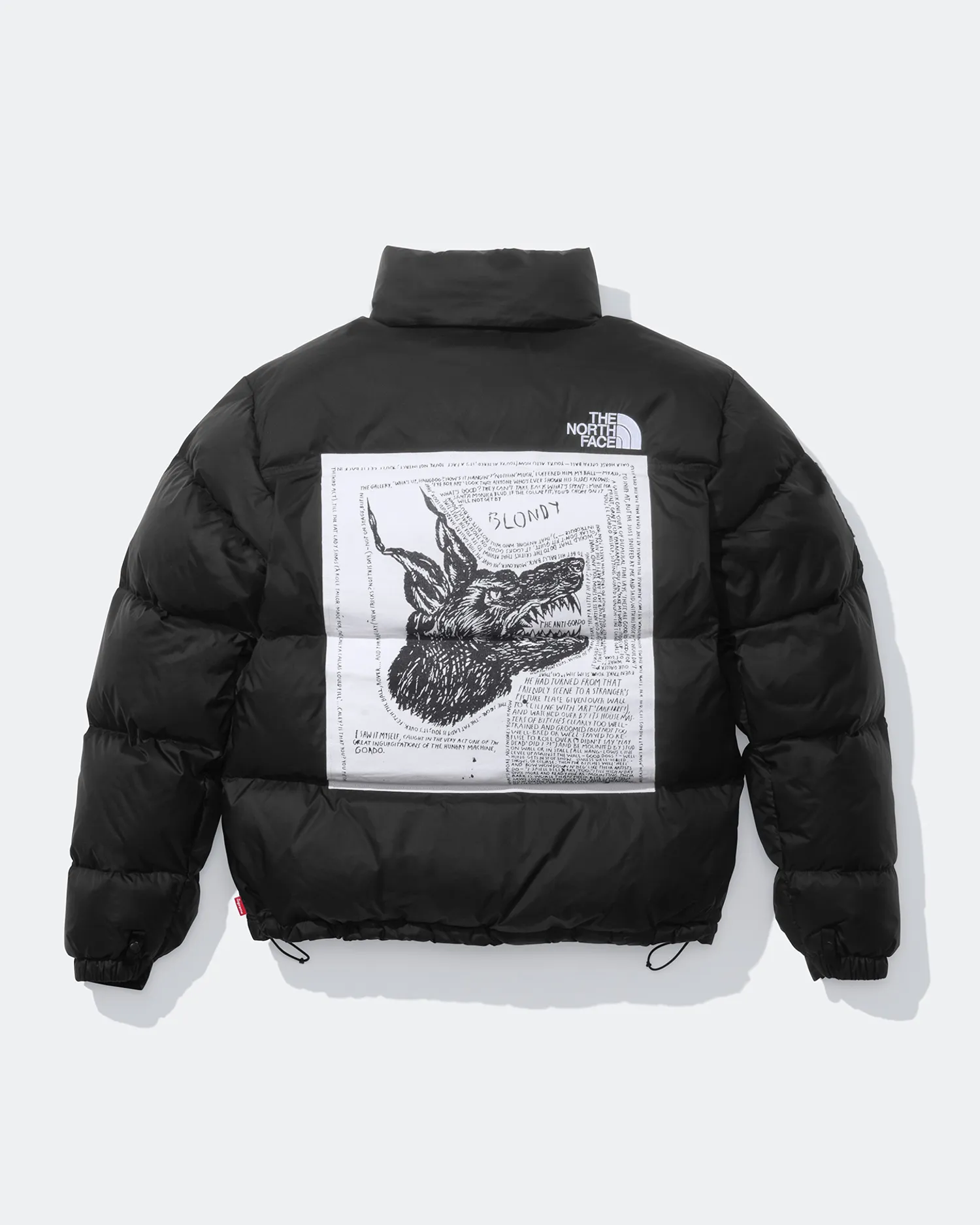 Supreme®/The North Face® Nuptse Jacket