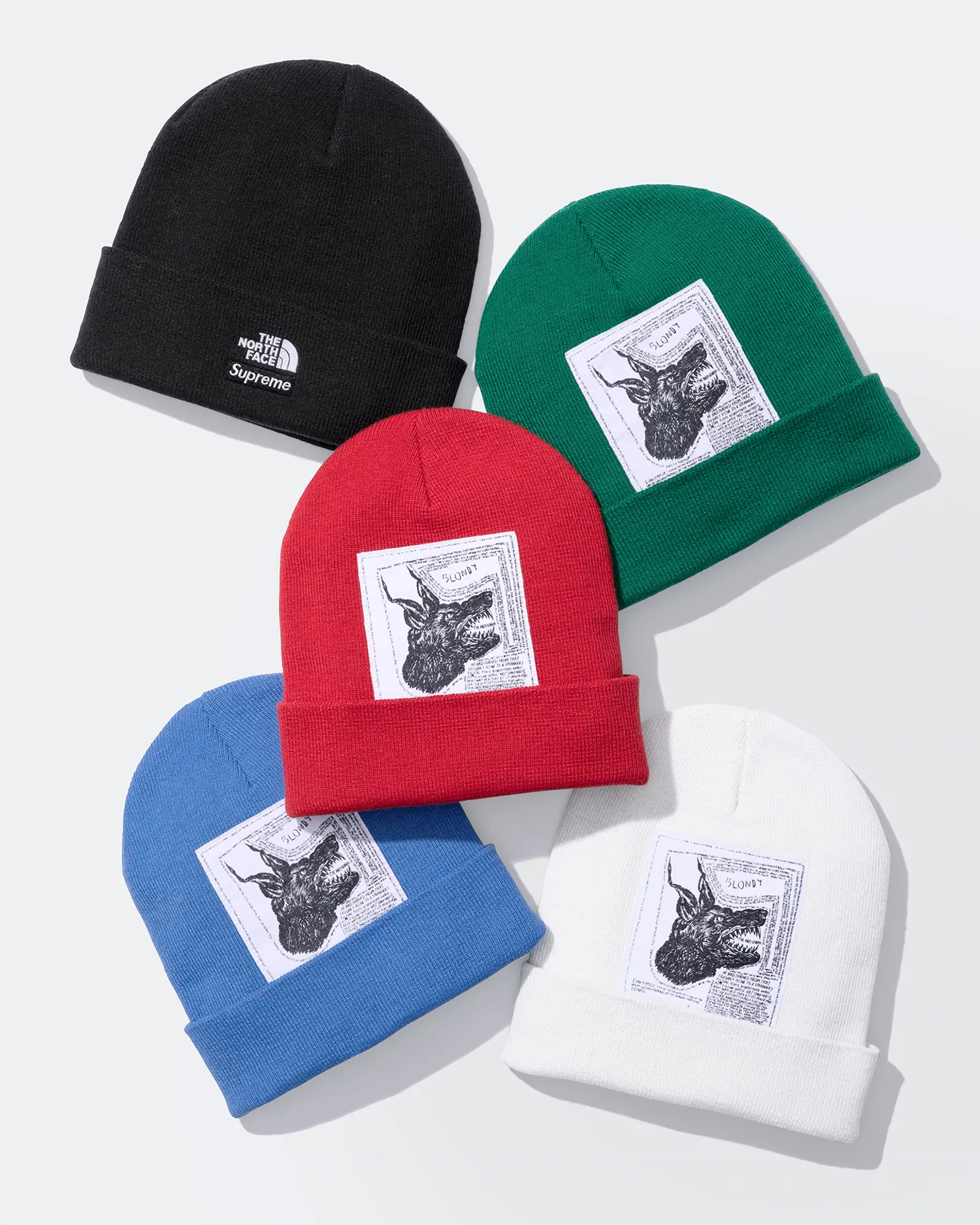 Supreme®/The North Face® Beanie