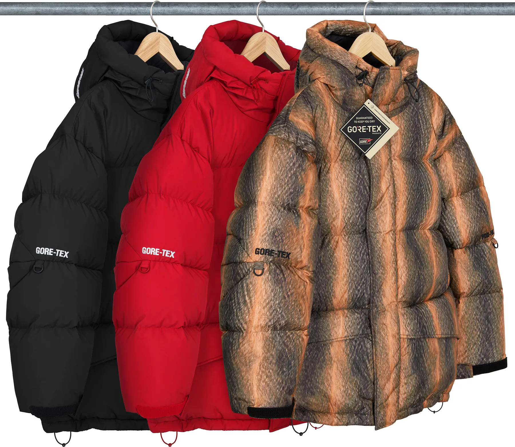 Supreme GORE-TEX 900-Fill Down Parka