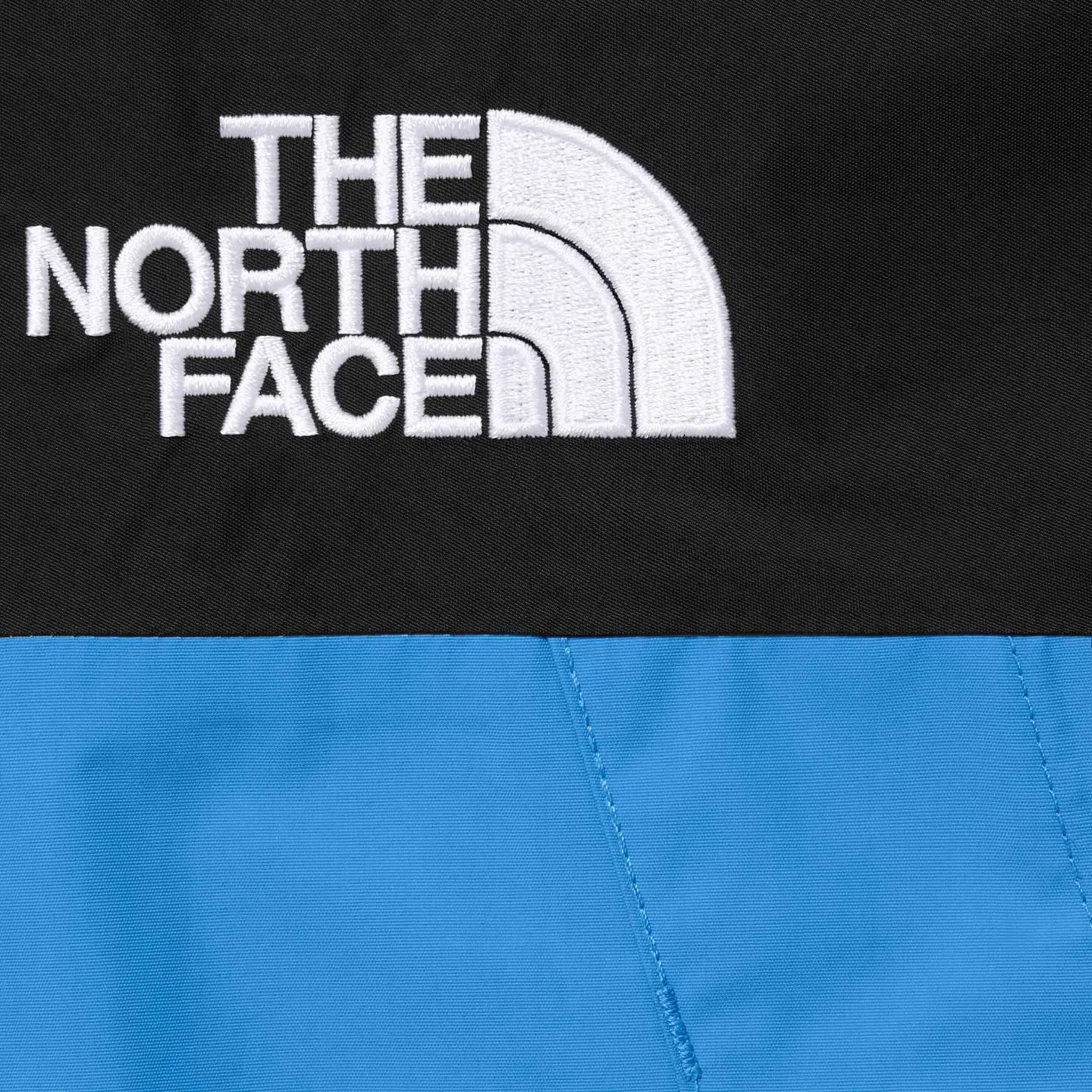 Supreme®/The North Face® Mountain Jacket