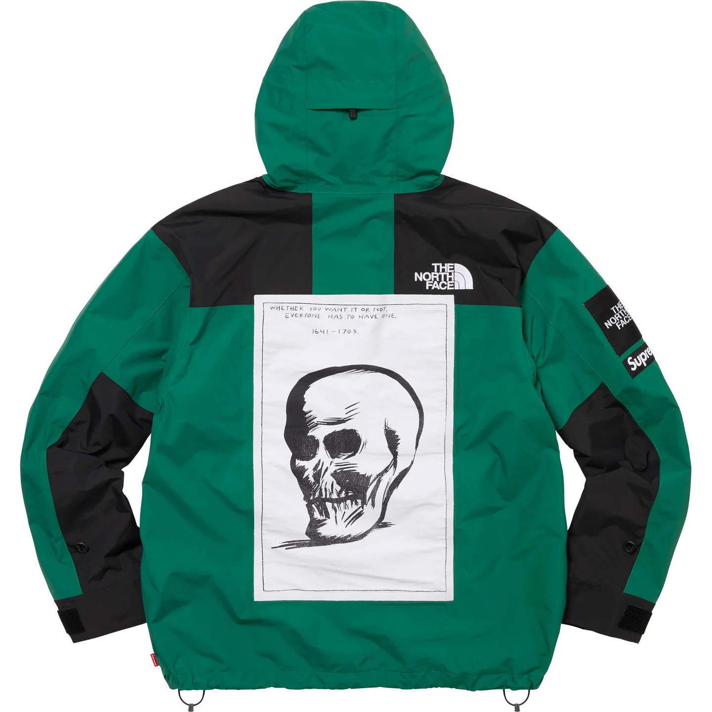 Supreme®/The North Face® Mountain Jacket