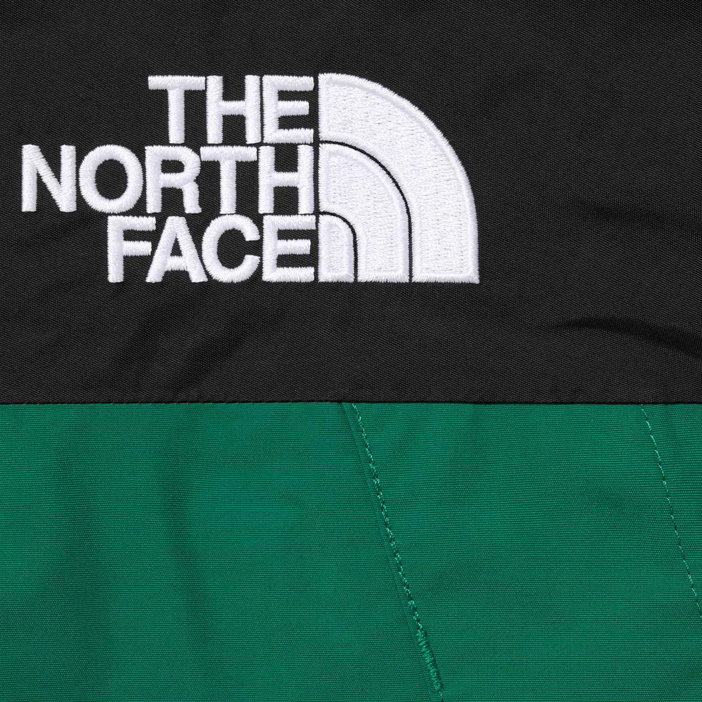 Supreme®/The North Face® Mountain Jacket