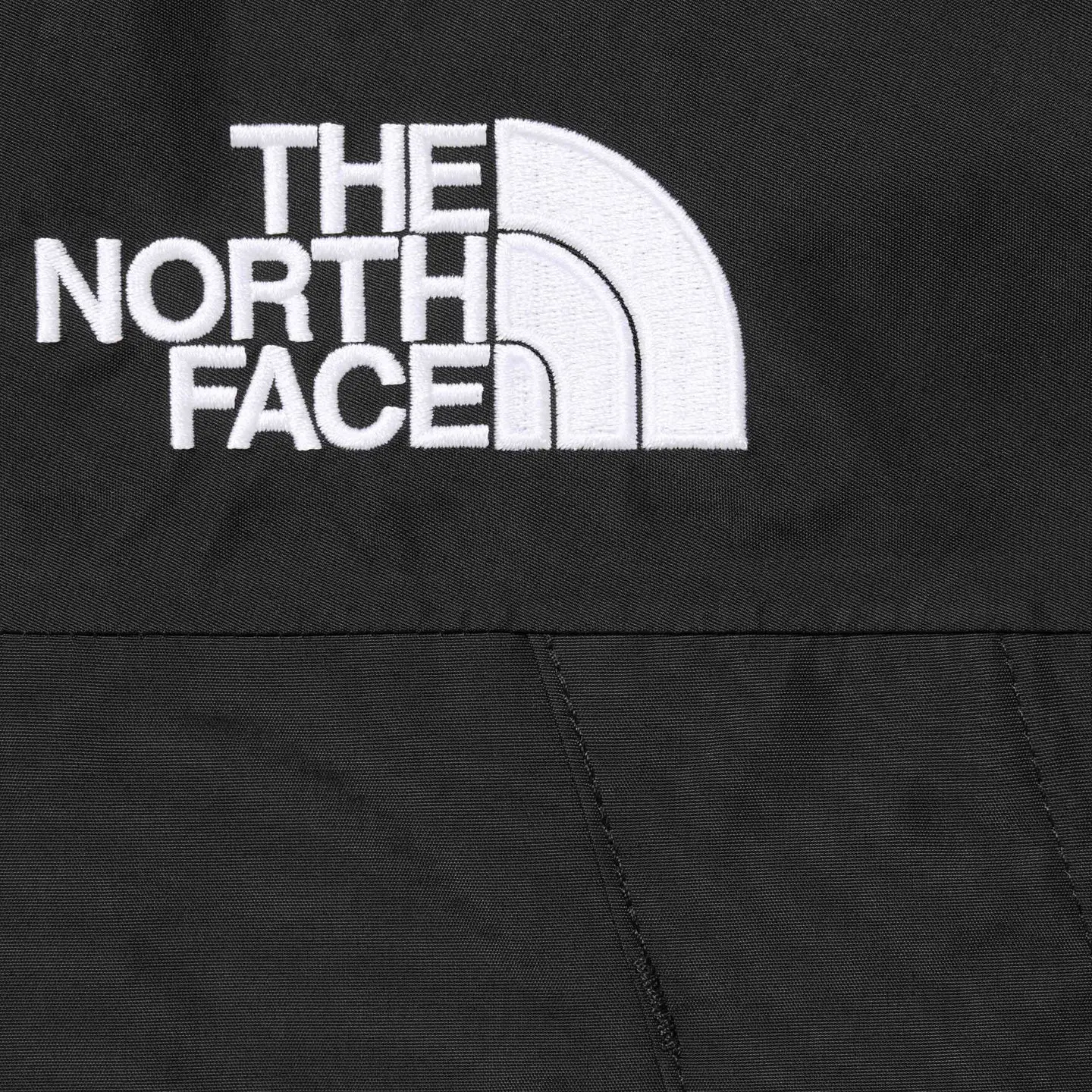 Supreme®/The North Face® Mountain Jacket