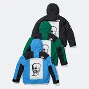 Supreme®/The North Face® Mountain Jacket