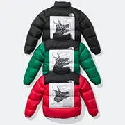 Supreme®/The North Face® Nuptse Jacket