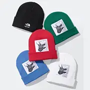 Supreme®/The North Face® Beanie