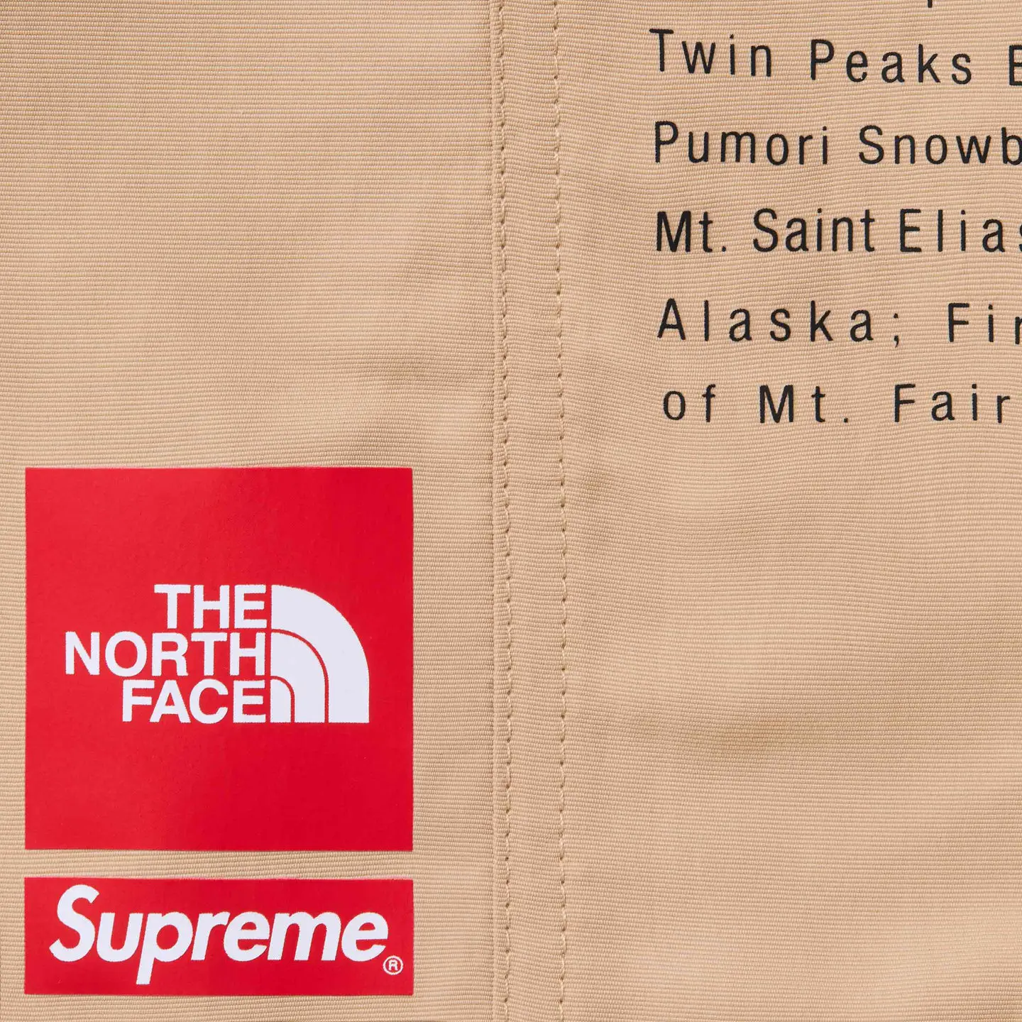 Supreme®/The North Face® Nylon Short