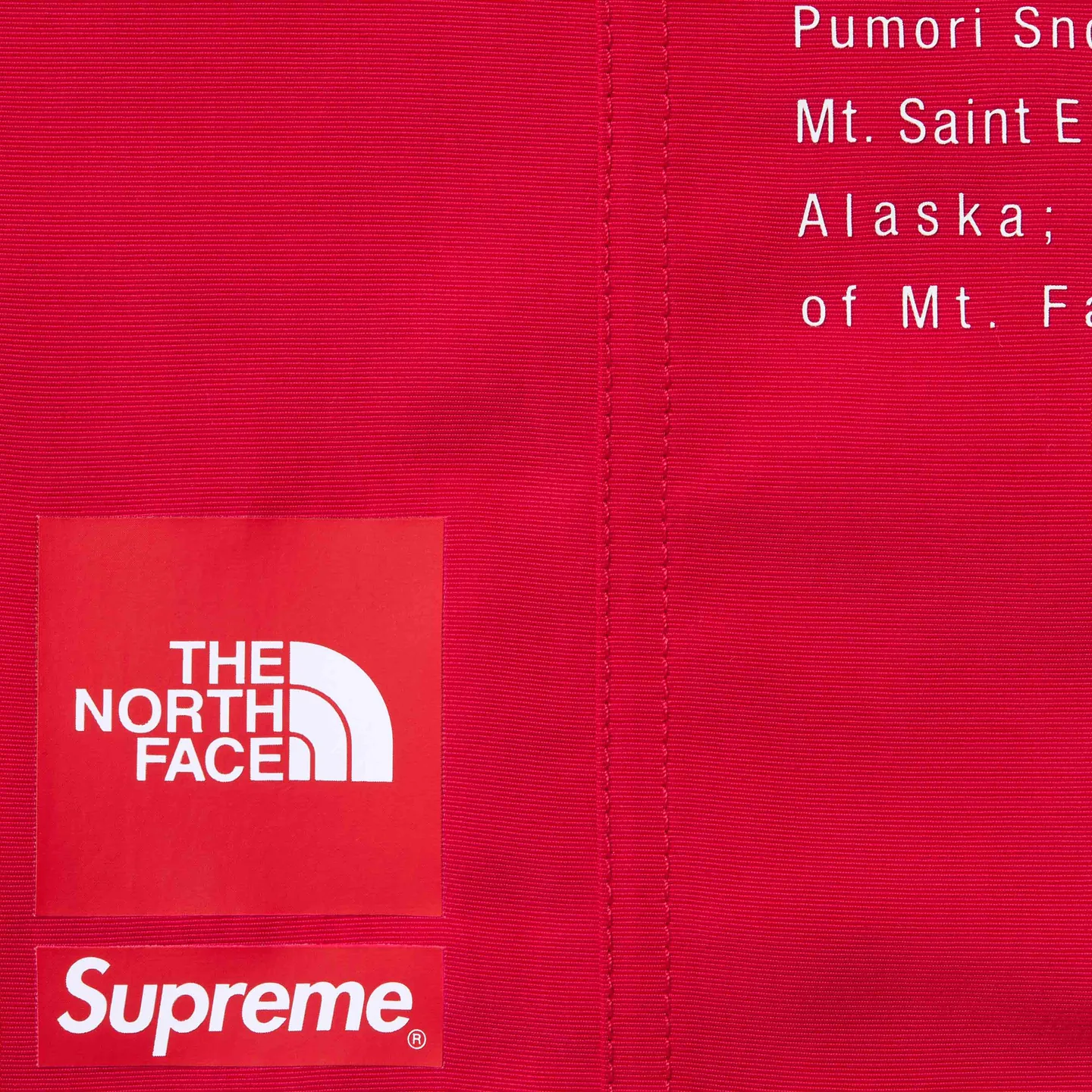 Supreme®/The North Face® Nylon Short