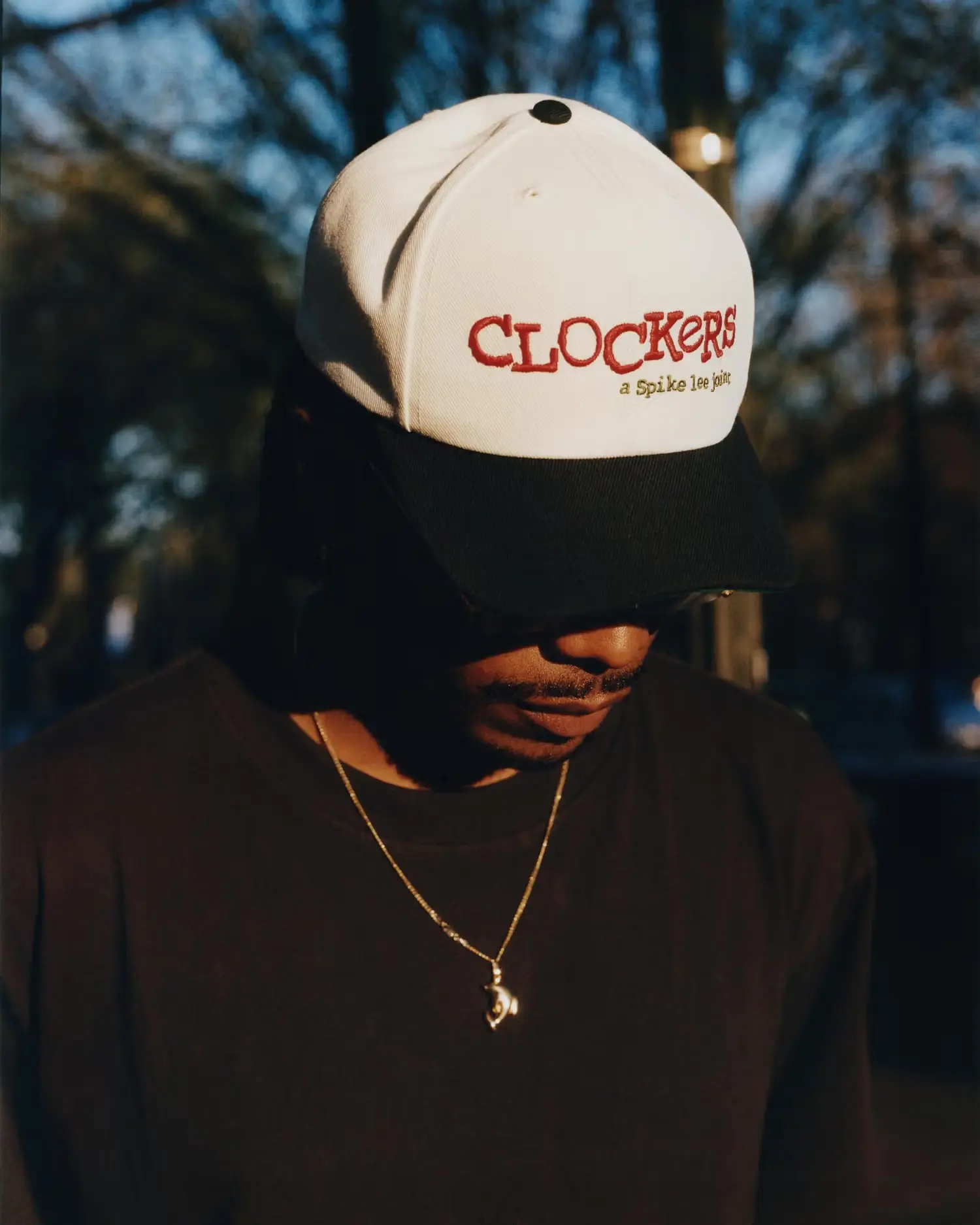 Supreme Supreme Supreme/40 Acres Clockers 6-Panel