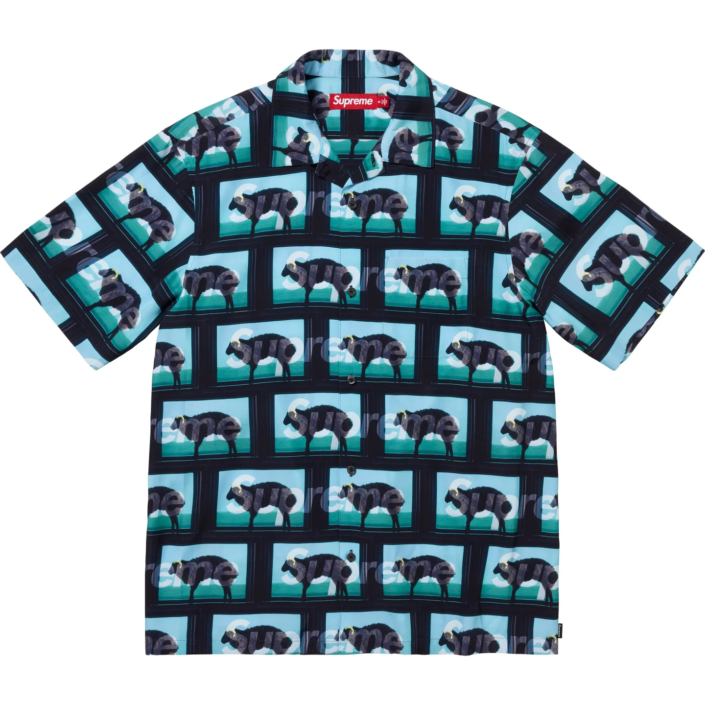 Supreme/Damien Hirst S/S Shirt