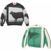 Supreme/Damien Hirst Sweater