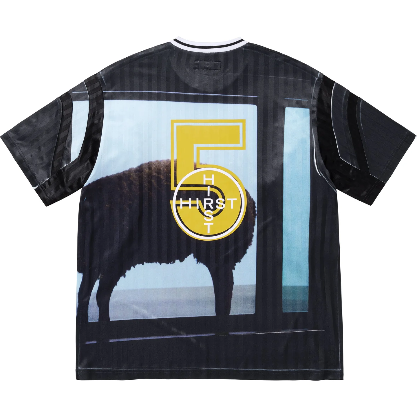 Supreme/Damien Hirst Soccer Jersey