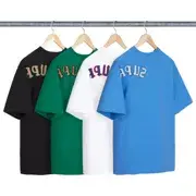 Supreme Brushed Arc S/S Top