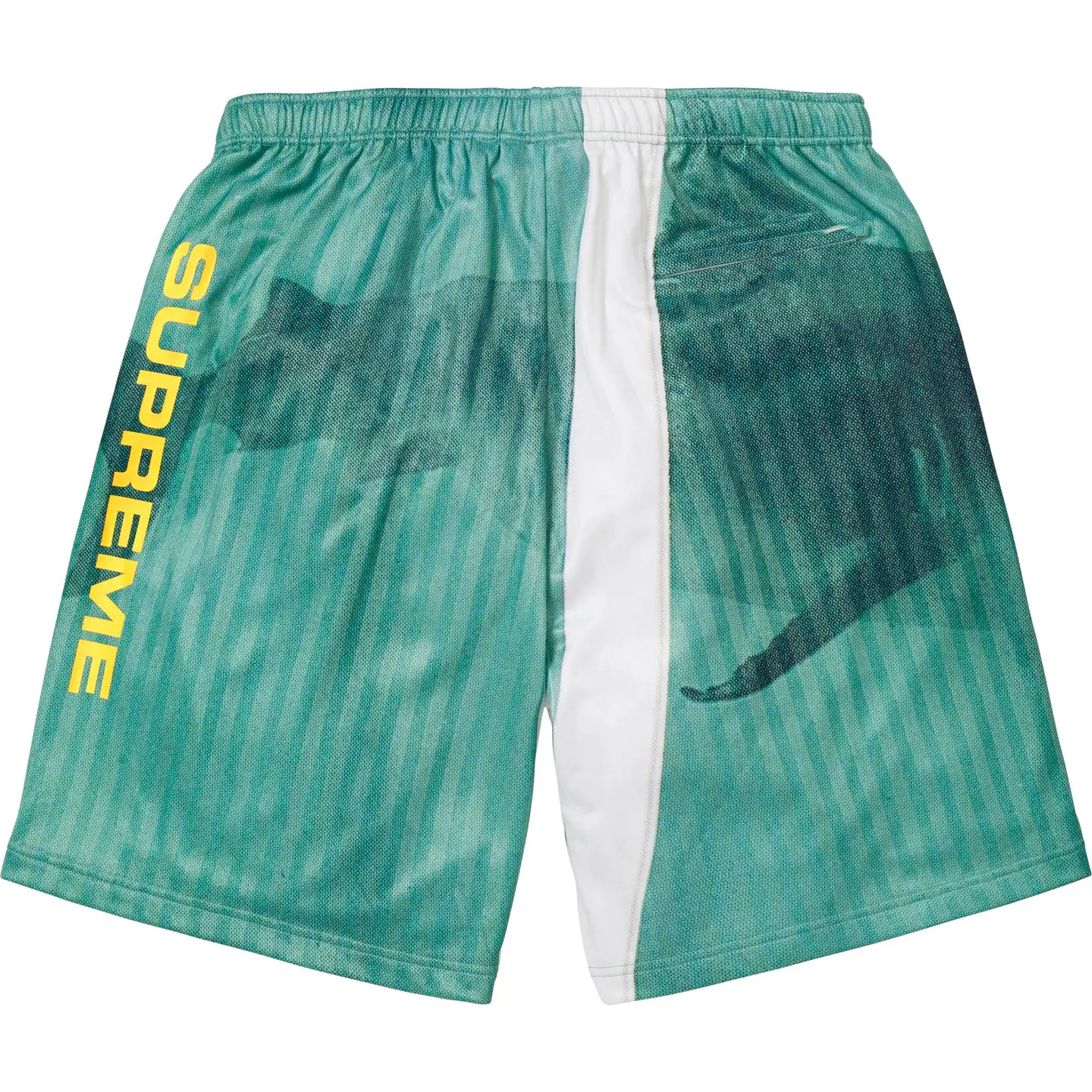 Supreme/Damien Hirst Soccer Short