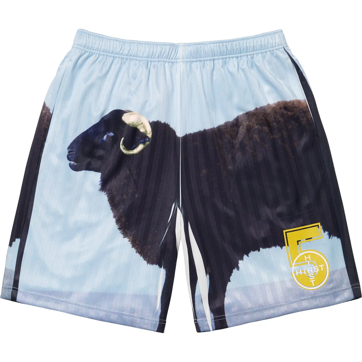 Supreme/Damien Hirst Soccer Short