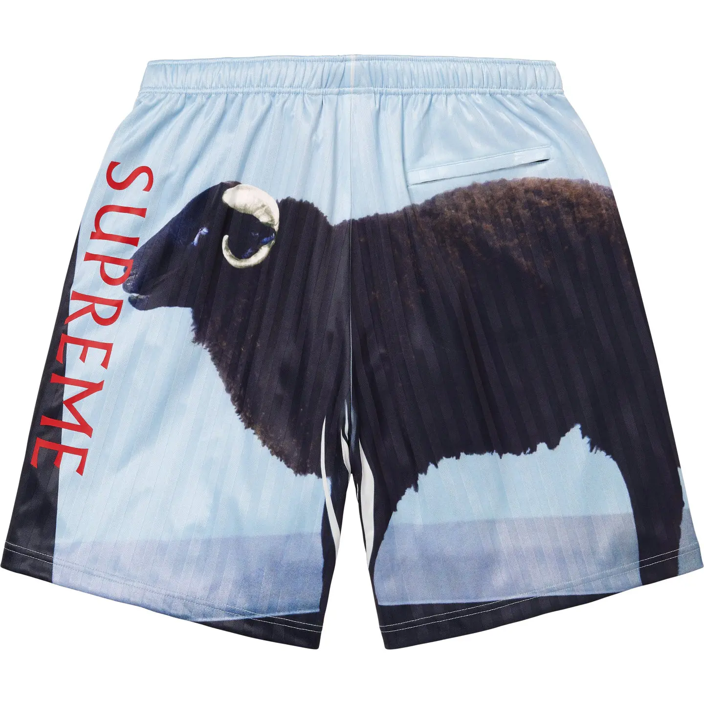 Supreme/Damien Hirst Soccer Short