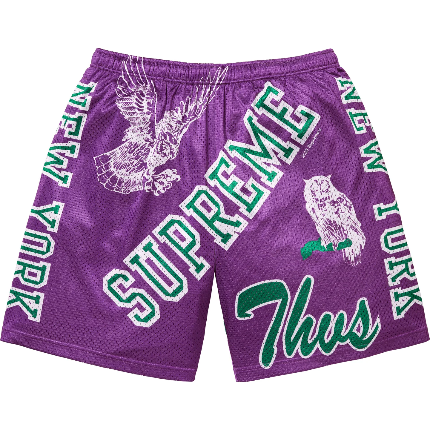 Supreme Supreme Varsity Mesh Short