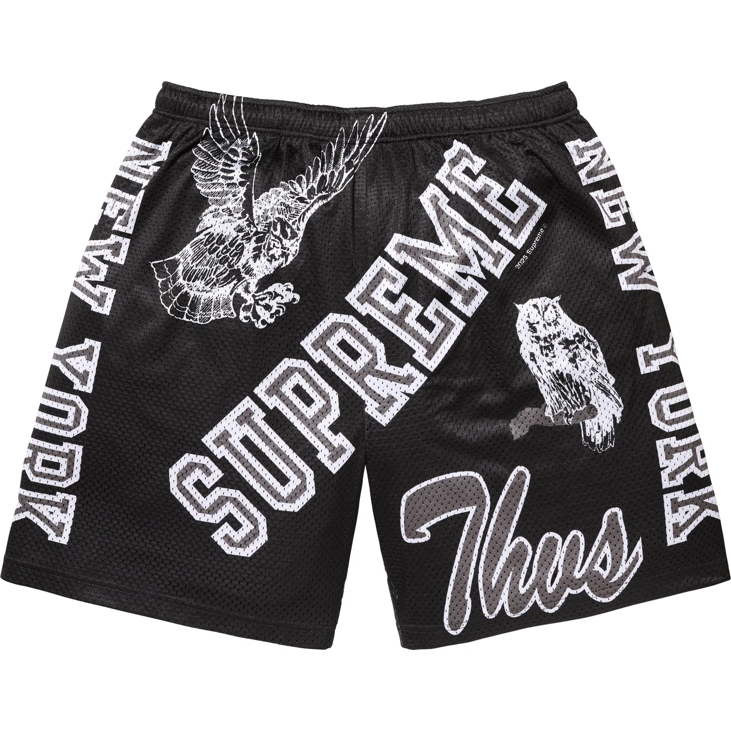 Supreme Supreme Varsity Mesh Short