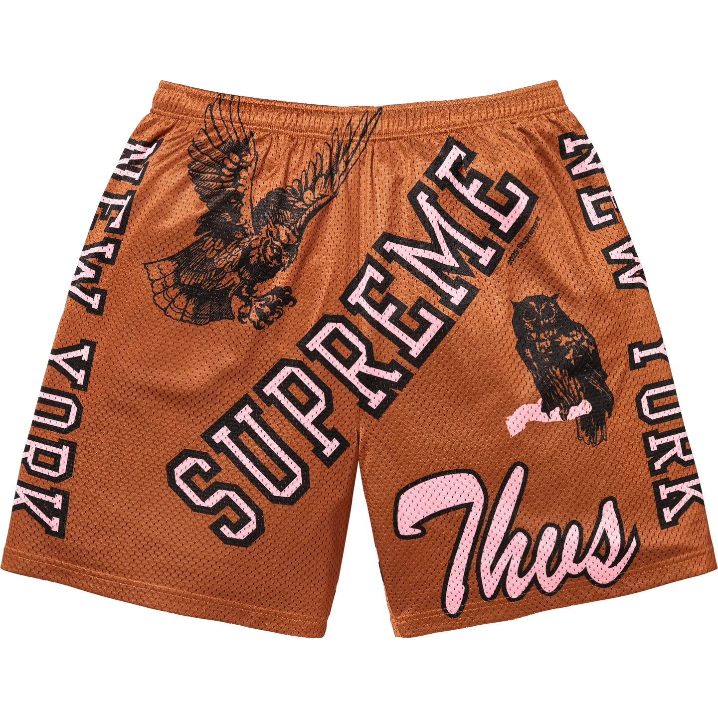 Supreme Supreme Varsity Mesh Short