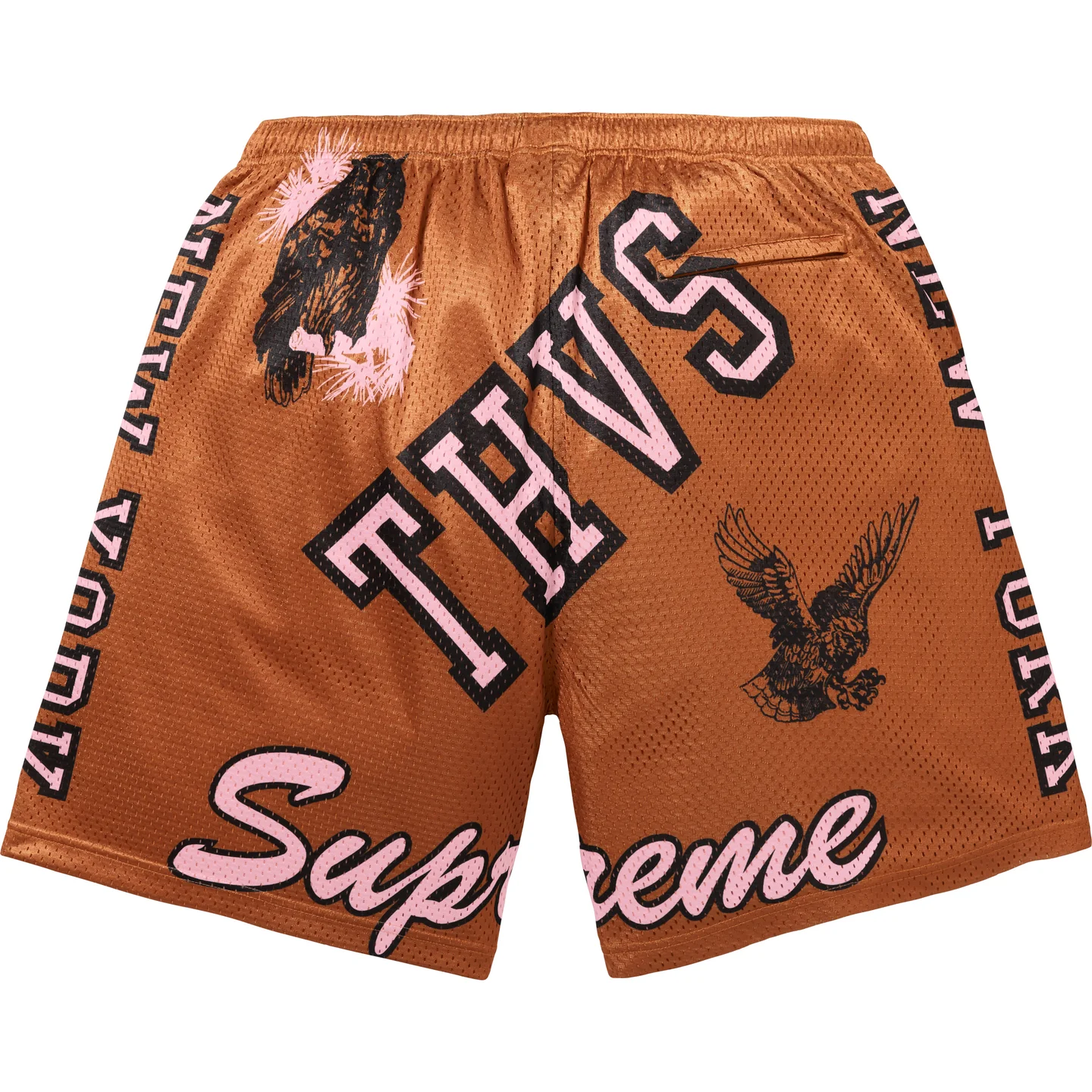 Supreme Supreme Varsity Mesh Short