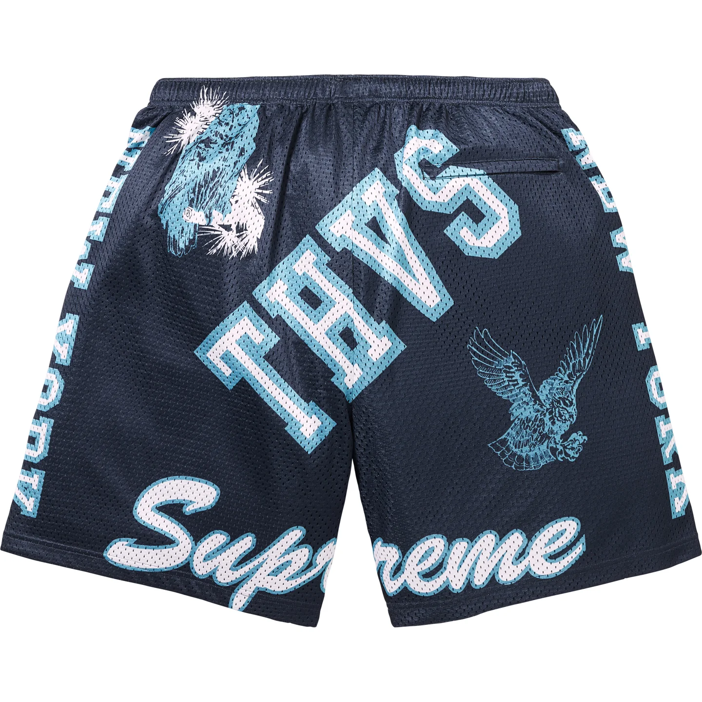 Supreme Supreme Varsity Mesh Short