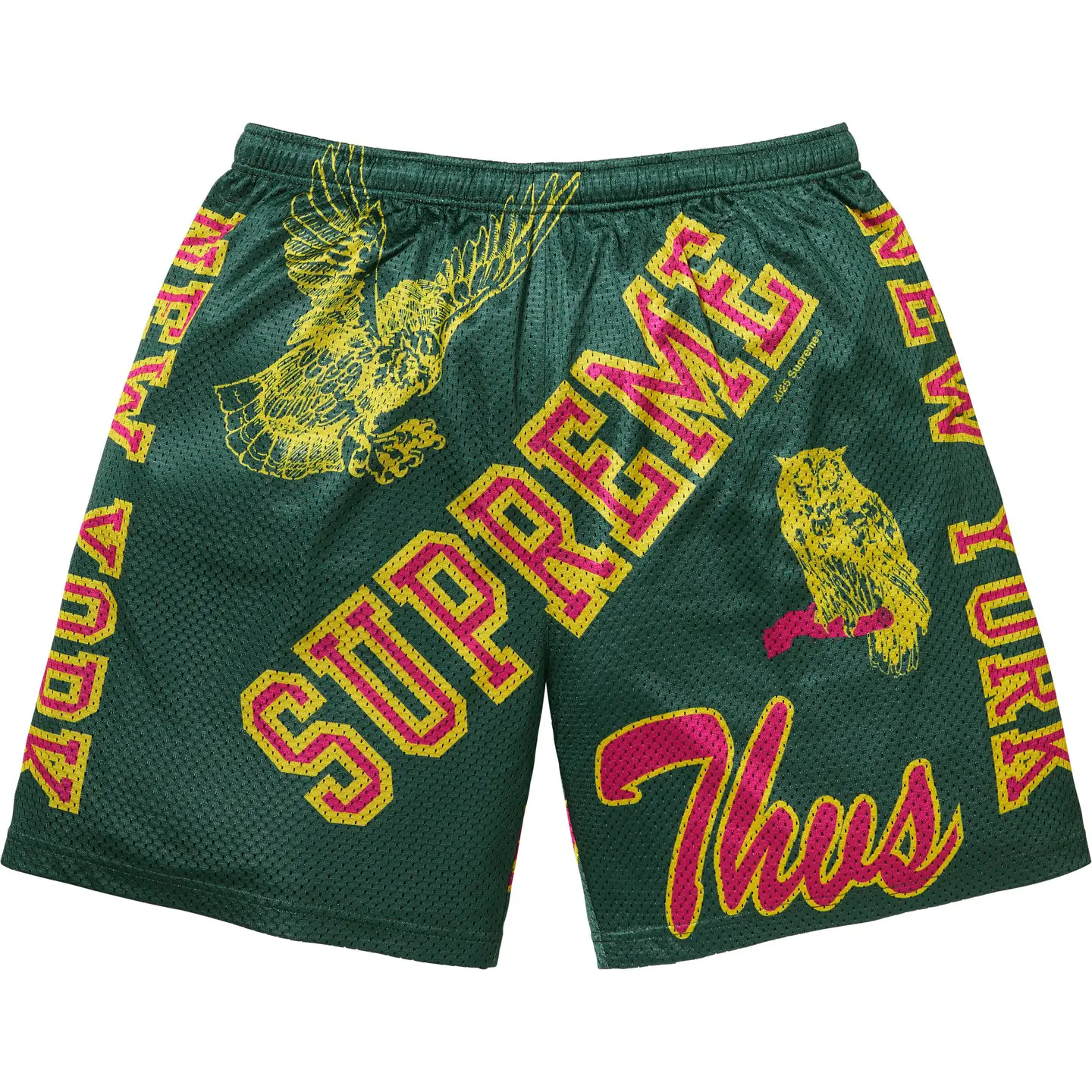 Supreme Supreme Varsity Mesh Short
